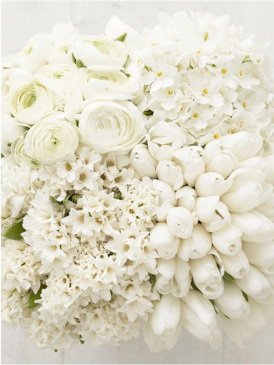 bouquet|branco|buquê|buquês|casamento|center noivas|decoração|flores|noiva|referências  de cores para casamentos|vestido de noiva|vestidos de noiva Archives -  Center Noivas